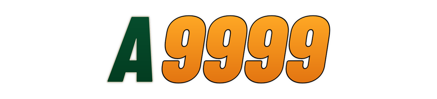 a9999 Logo